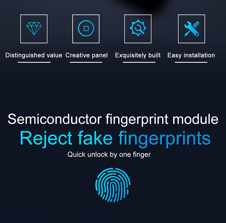 Biometric Lock (3)