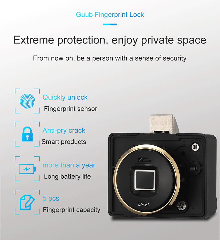 Biometric Lock (5)