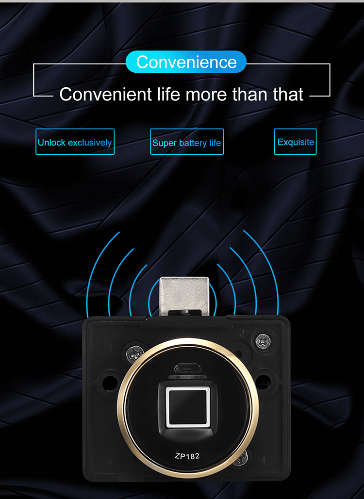 Biometric Lock (6)