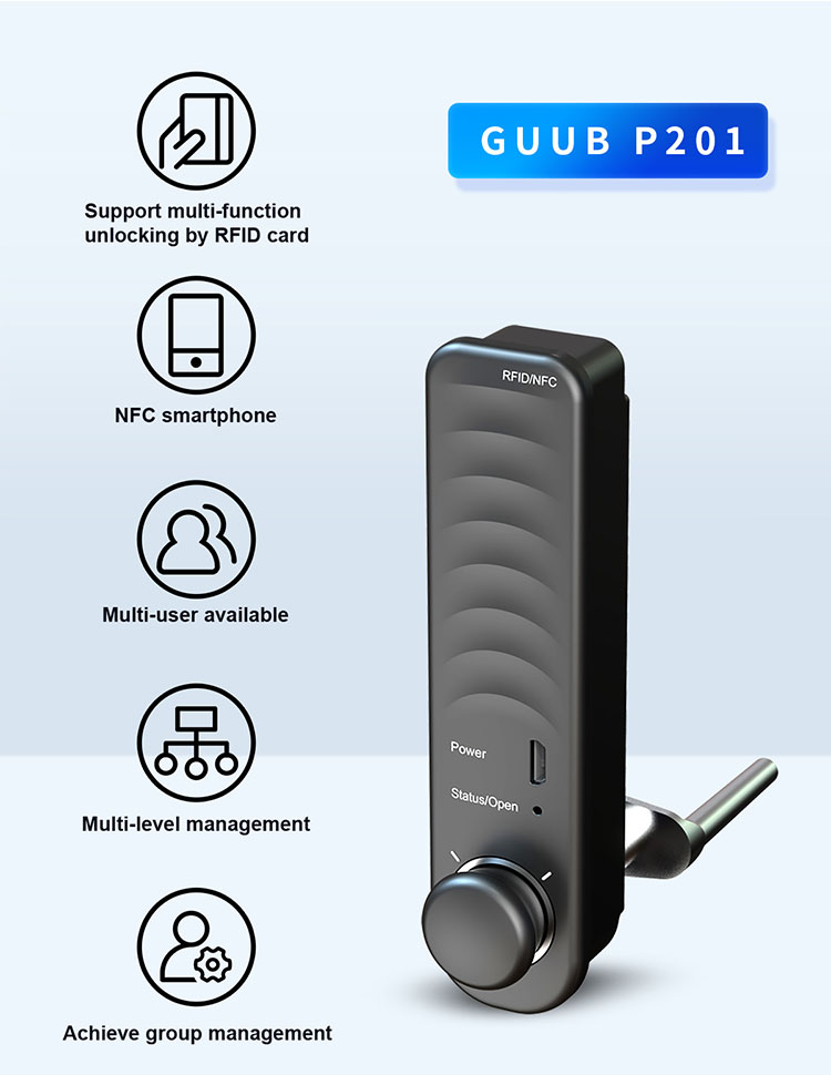 P201-Rfid Card Lock (2)